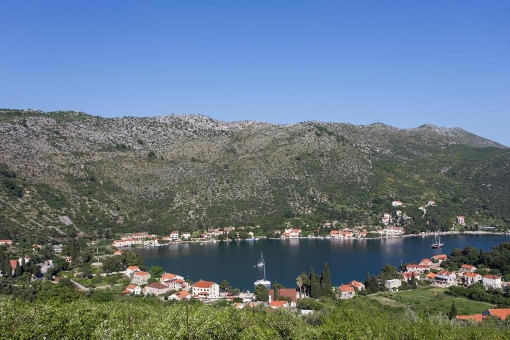 Villa Malfi Zaton  Oda fotoğraf