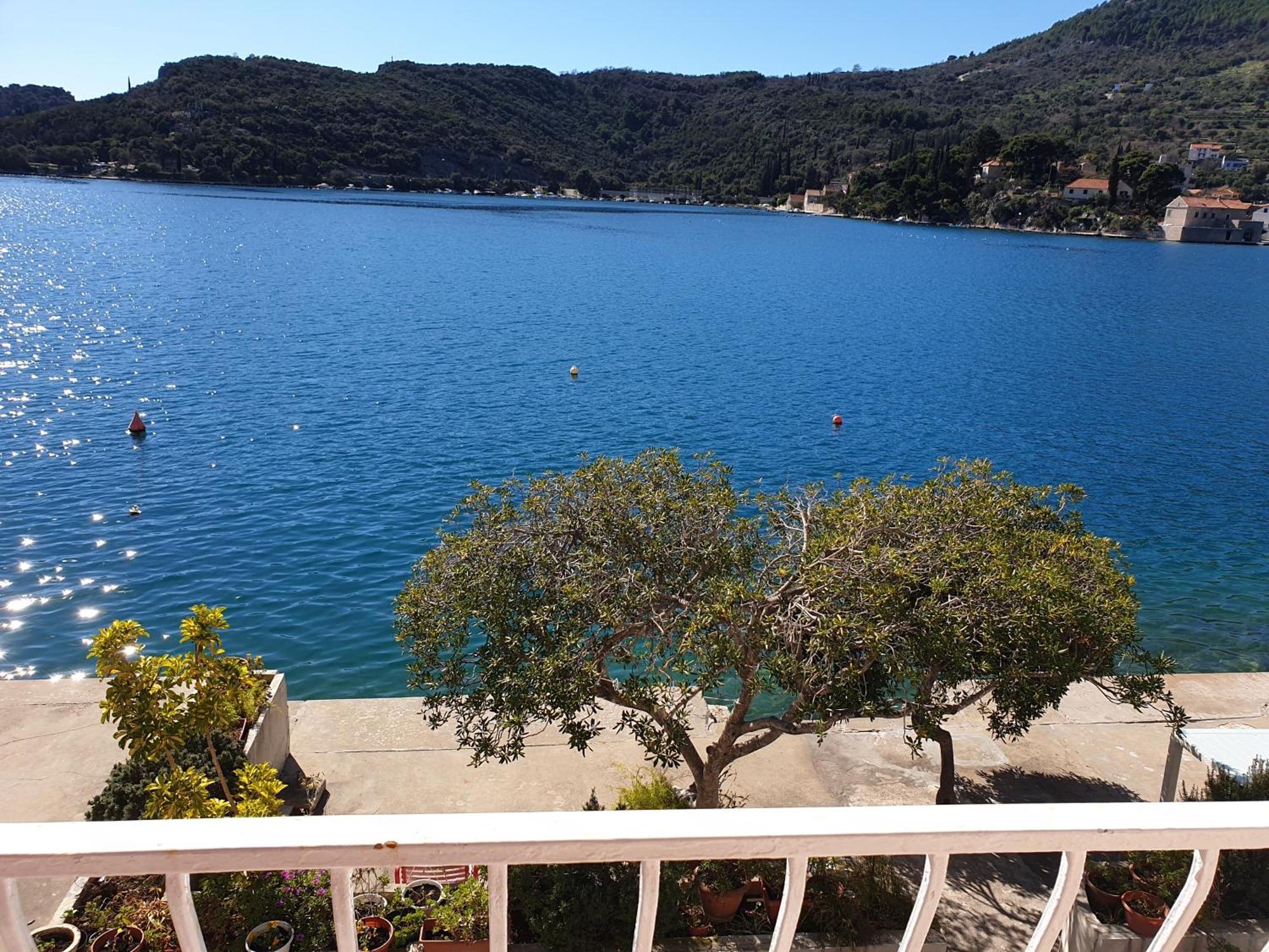 Villa Malfi Zaton  Oda fotoğraf